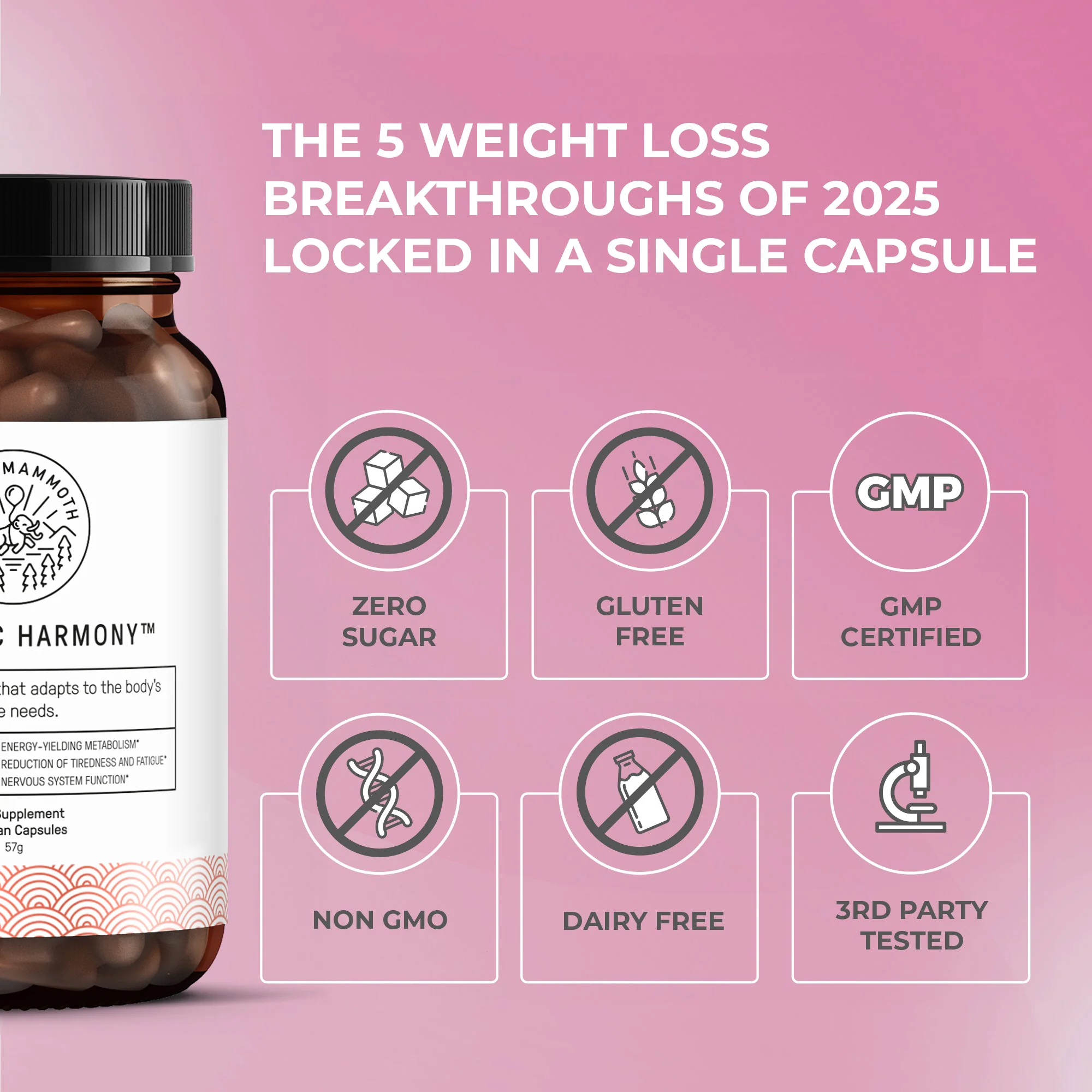 Metabolic Harmony - Image 5